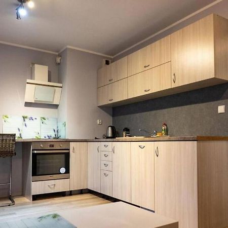 דירות Mini Apartament Cracow / Krakow Z M. Postojowym מראה חיצוני תמונה
